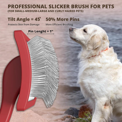 Slicker Brush for Dogs, Dog Brush for Shedding Massaging, Doodle Brush for Long Haired Dogs with Extra Long Pins to Effectively Remove Tangles, Knots and Mats (LARGE) (Blue, Large)