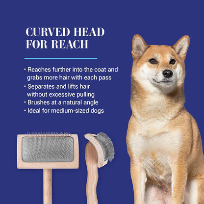 Chris Christensen Mark III Slicker Brush for Dogs, 12mm Pins, Groom Like a Pro, Handcrafted Lightweight Beechwood Ergonomic Handle, Stainless Steel Pins, A5III Medium. Made in Germany.