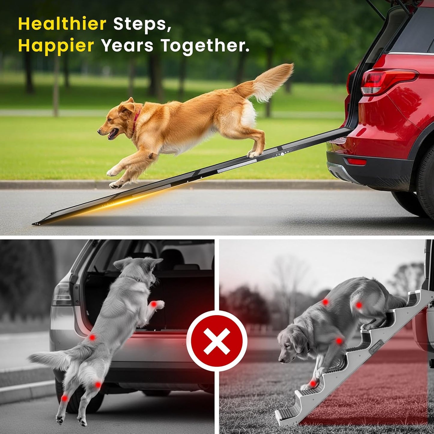 Portable Dog Ramp for Car – Foldable Dog Car Ramp for Truck, SUV, High Bed & Sofa with Anti-Slip Feet & Traction Carpet – Small to Large Breeds (63" Long & 17" Wide)