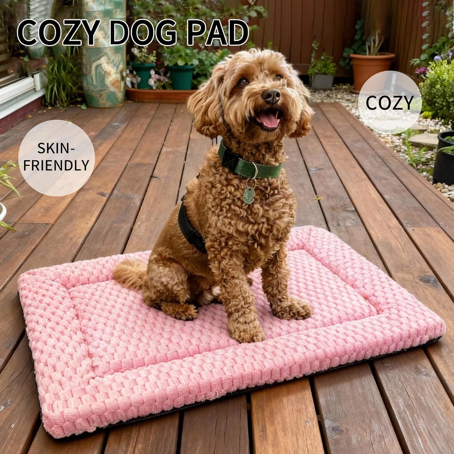 Dog Bed Mat, Reversible Crate Pad & Cute Dog Bed - Machine Washable Kennel Mat with Ultra Soft for Small Dogs (Cool/Warm), 24" x 18", Grey&Star