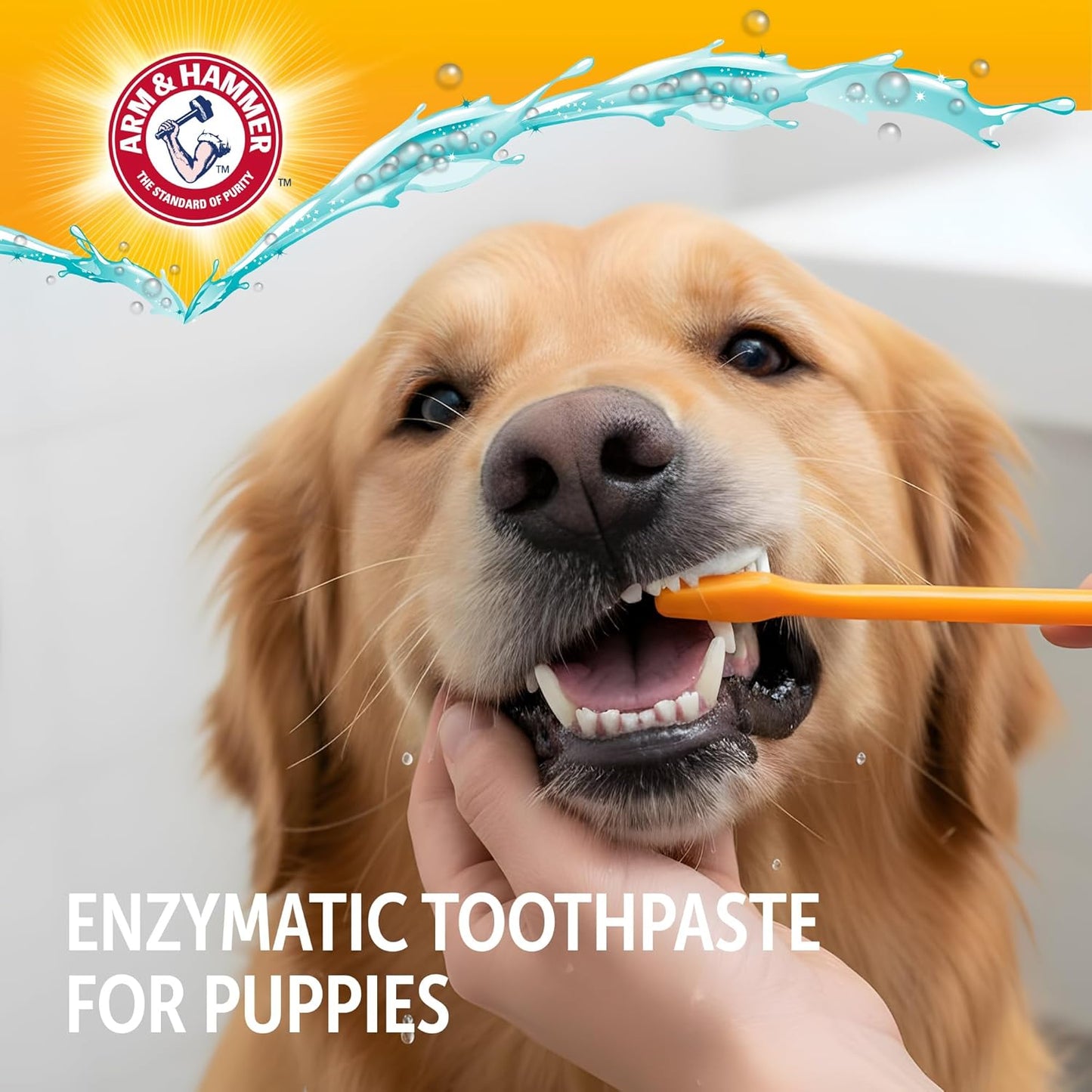 Arm & Hammer Complete Care Dog Dental Kit Enzymatic Toothpaste 2.5 OZ Chicken Flavor Toothbrush Finger Brush Tartar Baking Soda Formula