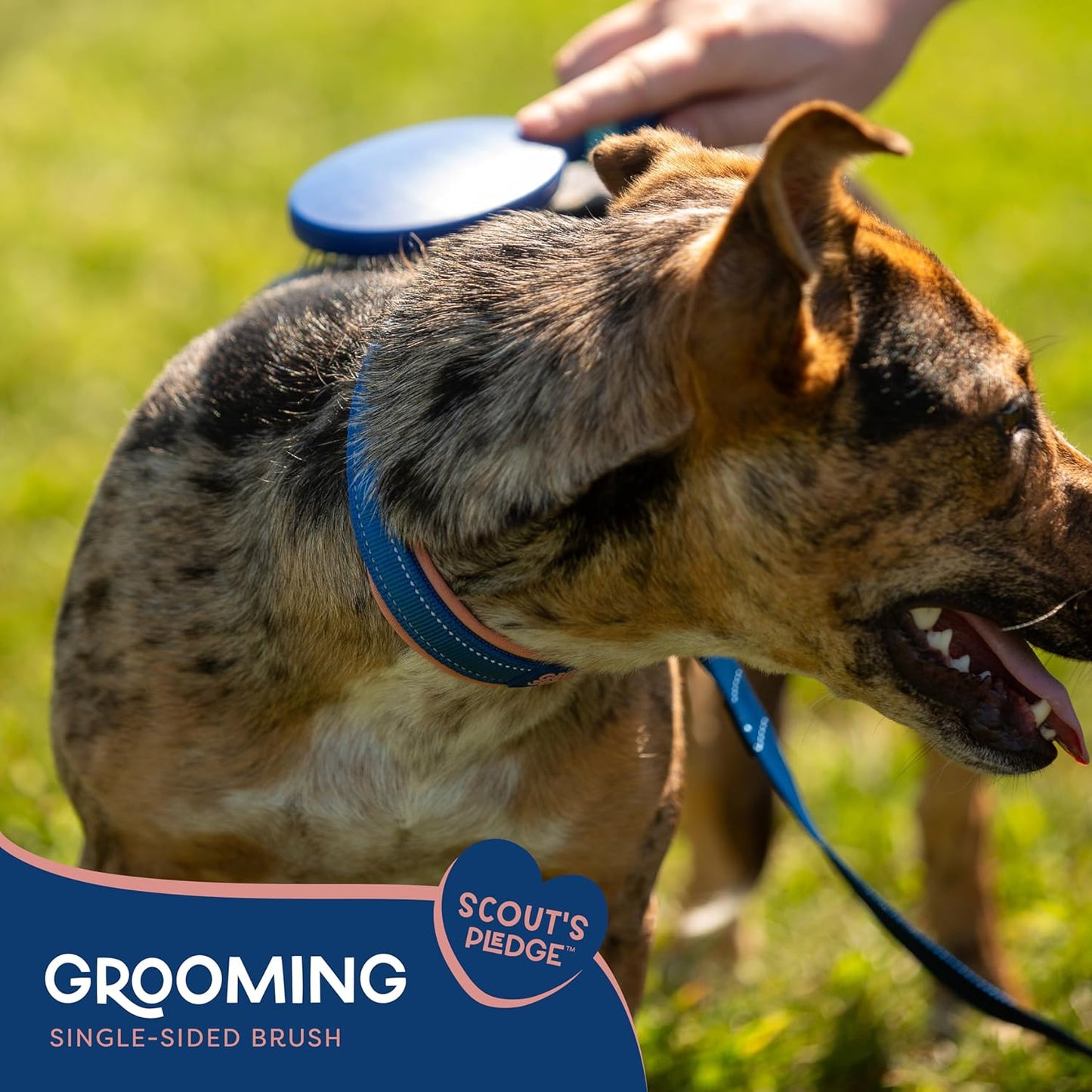 Good Scout 2-Piece Deshedding Tool Set with Self-Cleaning Slicker Brush & Dual-Head for Dogs & Cats, Gentle, Safe & Effective Grooming Tool for Short or Long Haired Animals