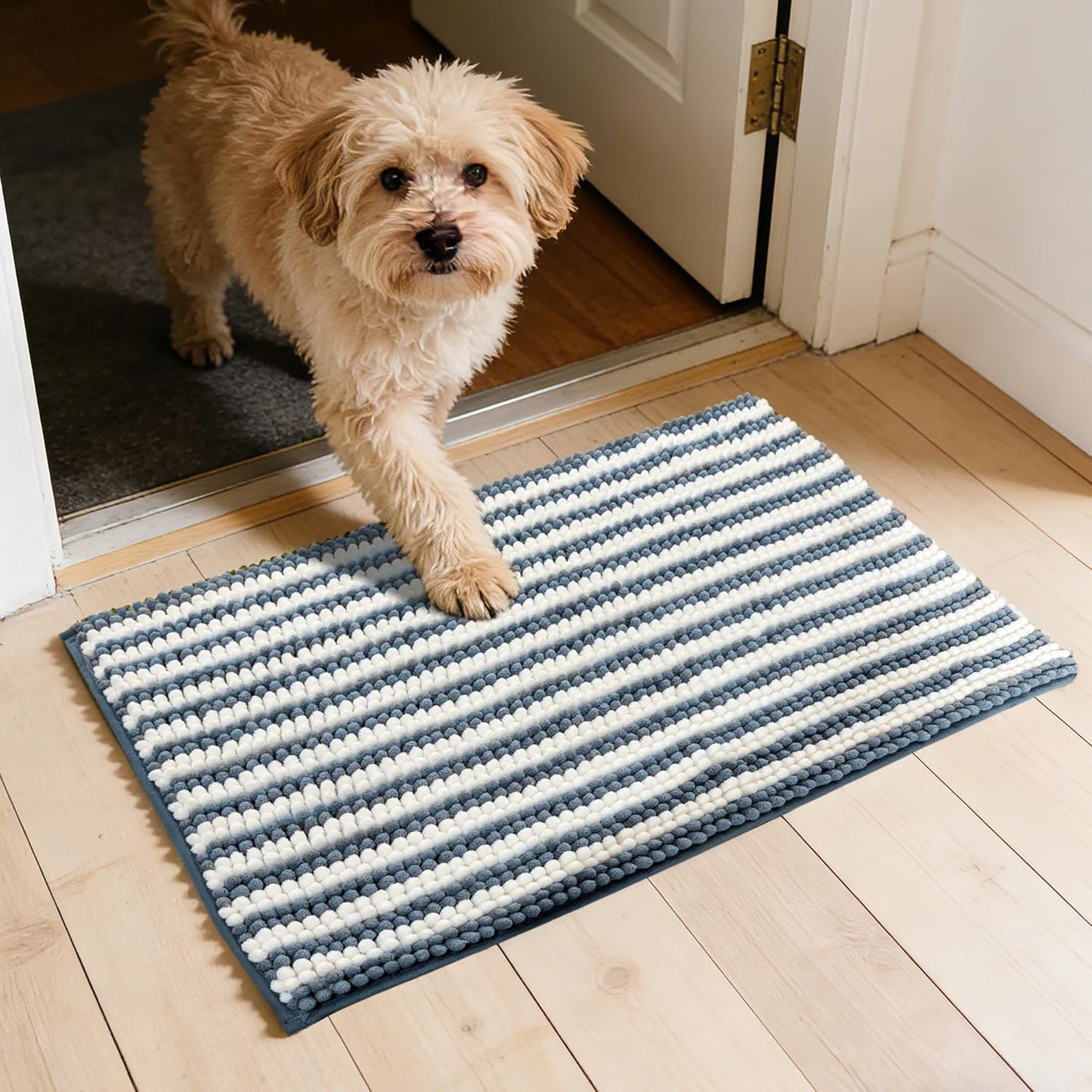 Dog Door Mat for Muddy Paws - Absorbent Quick-Dry Non-Slip Washable Chenille Pet Rug, Indoor Entryway Mat for Front Door & Crate (Brown, 24" L*16" W)