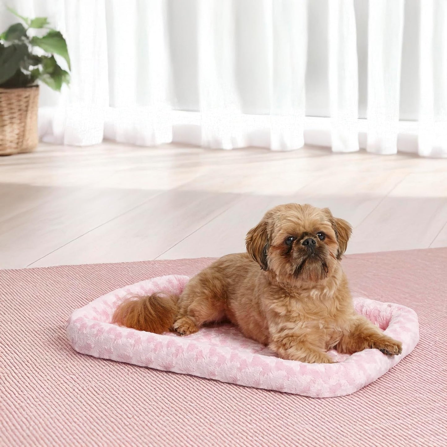 MidWest Homes for Pets QuietTime Dog Bed - White Fleece Bolster, Ultra-Soft and Machine Washable, Fits 24-Inch Crates and Carriers, for Small Breed Dogs