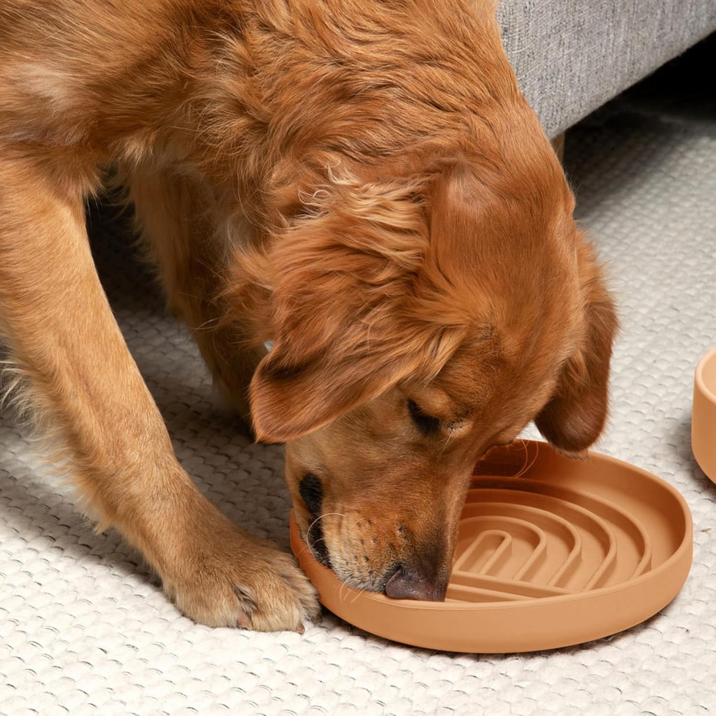 Should We Go? Slow Feeder for Dogs & Puppies, The Slowdown Bowl Silicone Slow Eating, Modern Lick Mat Design, Reduces Gulping, Fits 2 Cups, 7.5” Across x 1.5” Tall, Mealtime Challenge, Medium-Blush