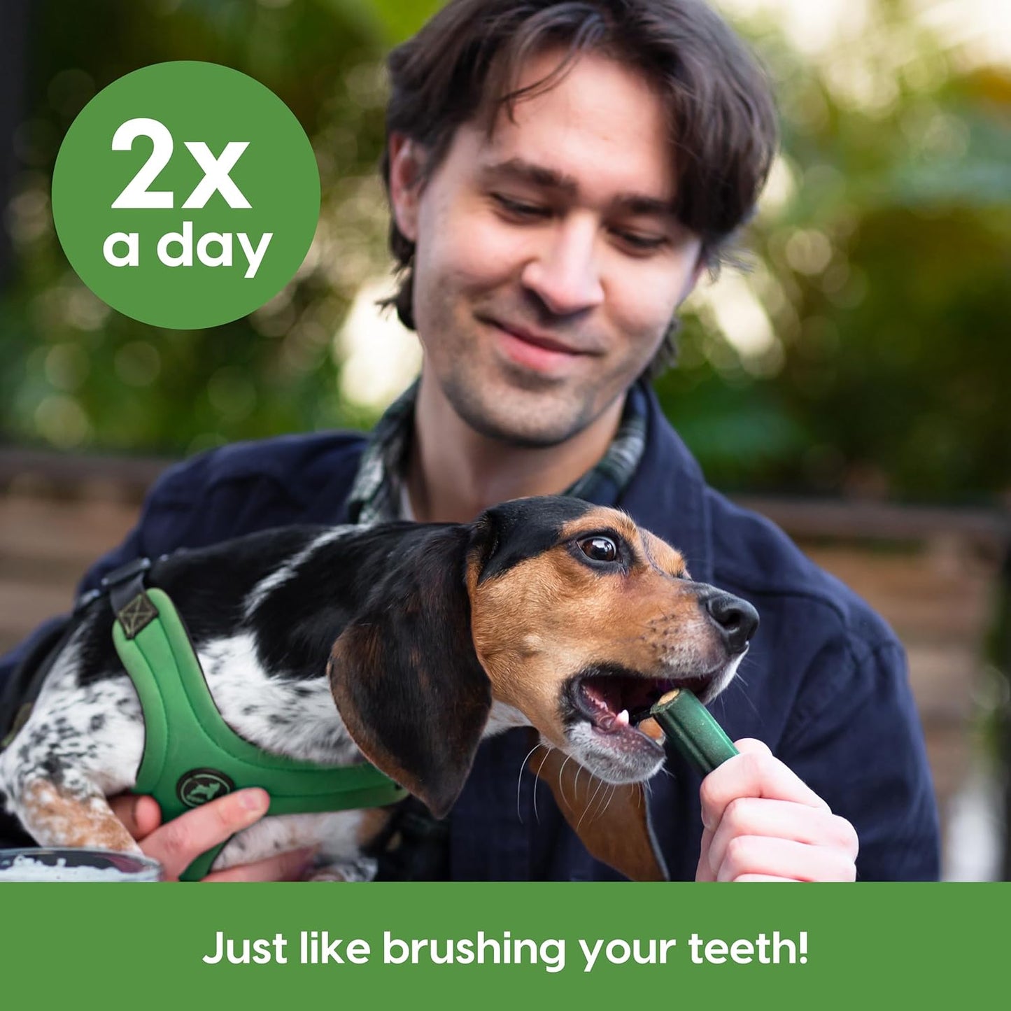 Ark Naturals Soft Brushless Toothpaste, Dog Dental Chews for Small Breeds, Freshens Breath, Unique Texture Helps Reduce Plaque & Tartar, 12oz, 1 Pack