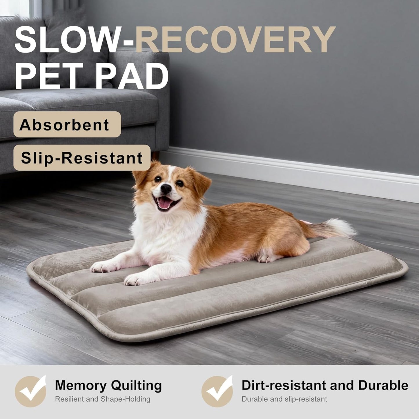 Dog Bed Mat, Reversible Crate Pad & Cute Dog Bed - Machine Washable Kennel Mat with Ultra Soft for Small Dogs (Cool/Warm), 24" x 18", Grey&Star