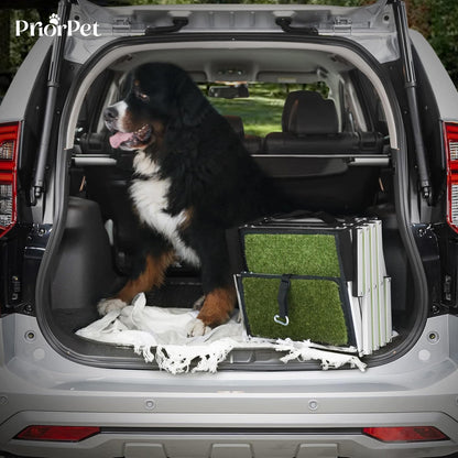 Dog stairs for large dogs PRIORPET - Glow in The Dark Marking - Foldable Dog ramp for Car and Small SUV - Dog steps for Car - Non-Slip Surface - Dog ramps for large dogs - 4 Steps