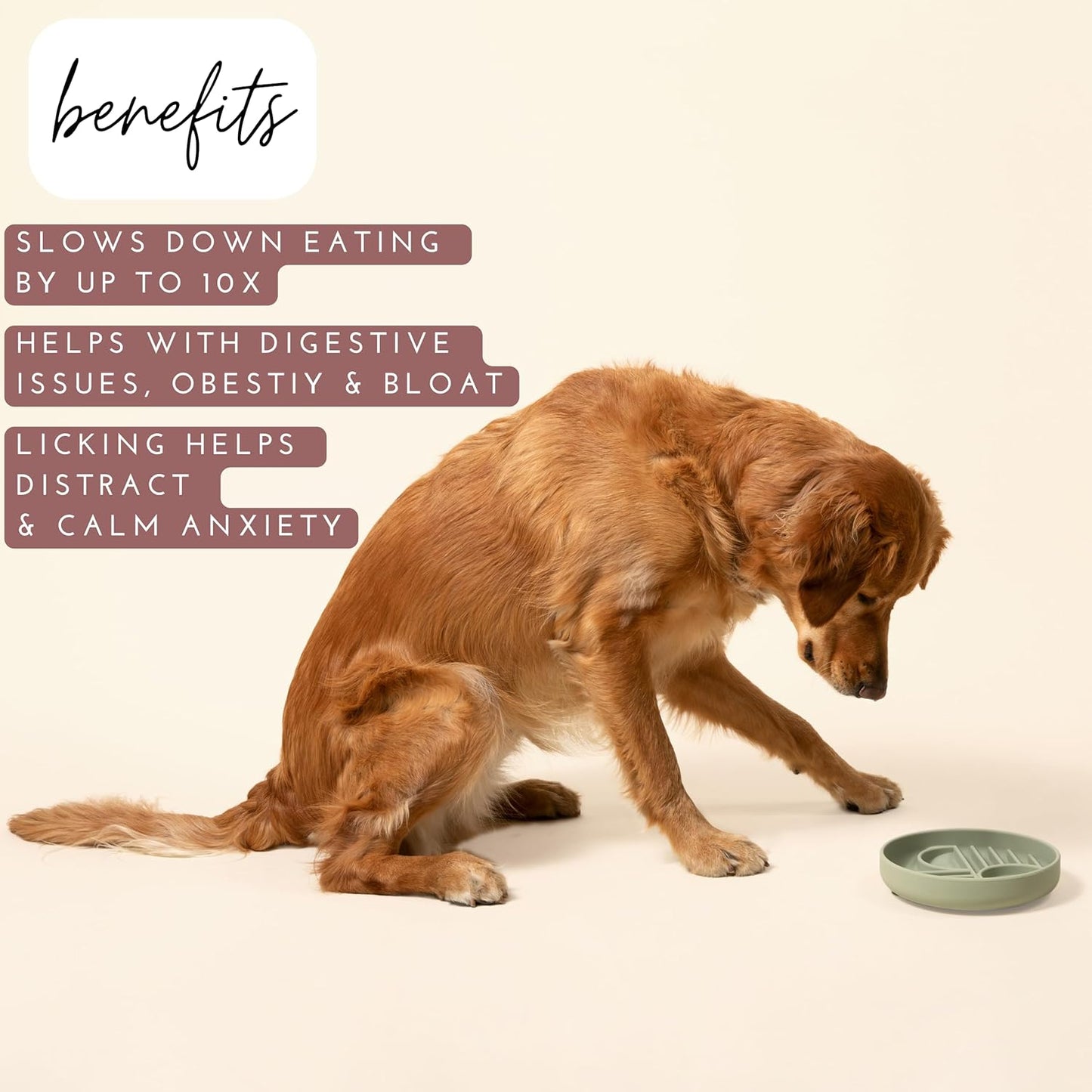 Should We Go? Slow Feeder for Dogs & Puppies, The Slowdown Bowl Silicone Slow Eating, Modern Lick Mat Design, Reduces Gulping, Fits 2 Cups, 7.5” Across x 1.5” Tall, Mealtime Challenge, Medium-Blush