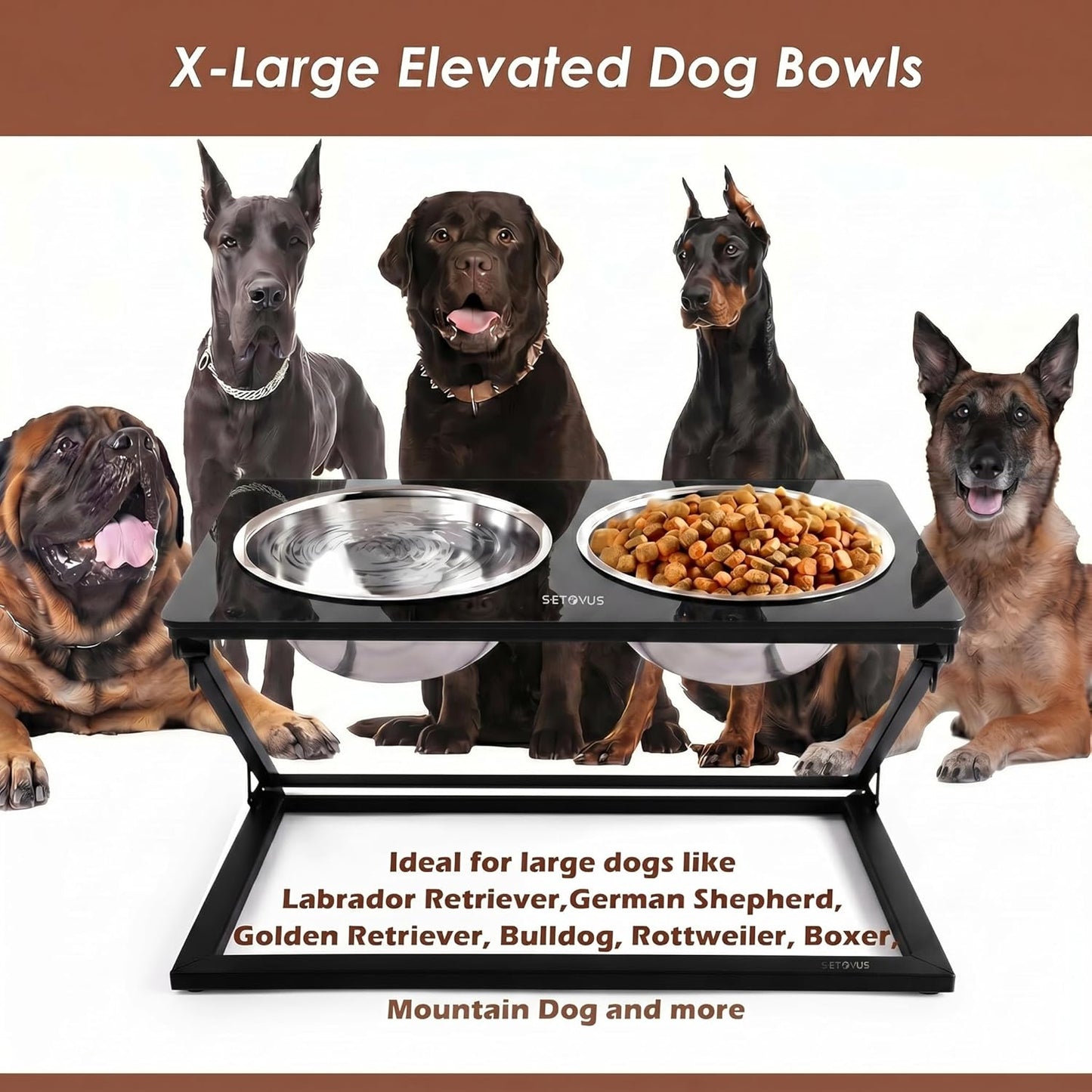Elevated Dog Bowls, Adjustable Raised Dog Bowl Stand with 2 Stainless Steel Food Bowls 20°Tilted Water Bowls for Medium Small Sized Dogs (Black, Medium)