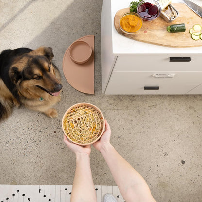 Should We Go? Slow Feeder for Dogs & Puppies, The Slowdown Bowl Silicone Slow Eating, Modern Lick Mat Design, Reduces Gulping, Fits 2 Cups, 7.5” Across x 1.5” Tall, Mealtime Challenge, Medium-Blush