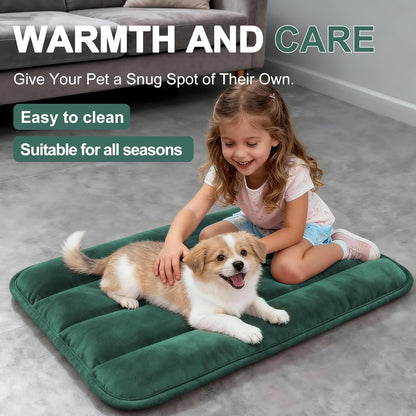 Dog Bed Mat, Reversible Crate Pad & Cute Dog Bed - Machine Washable Kennel Mat with Ultra Soft for Small Dogs (Cool/Warm), 24" x 18", Grey&Star