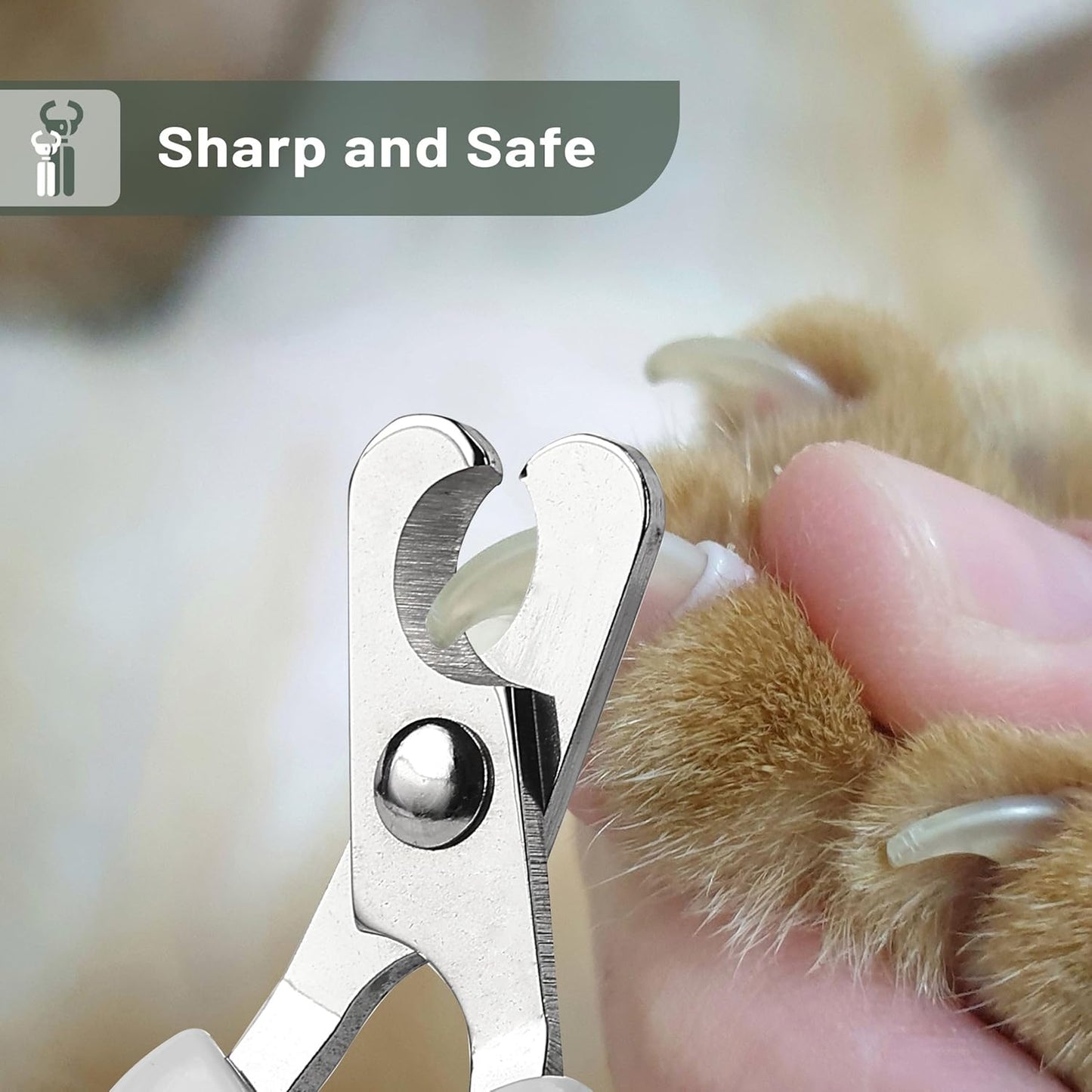 Mr. Pen- Cat Nail Clipper, Stainless Steel, Professional Sharp Cat Claw Trimmer for Small and Medium Cats, Pet Nail Clipper with Sturdy Non Slip Handle