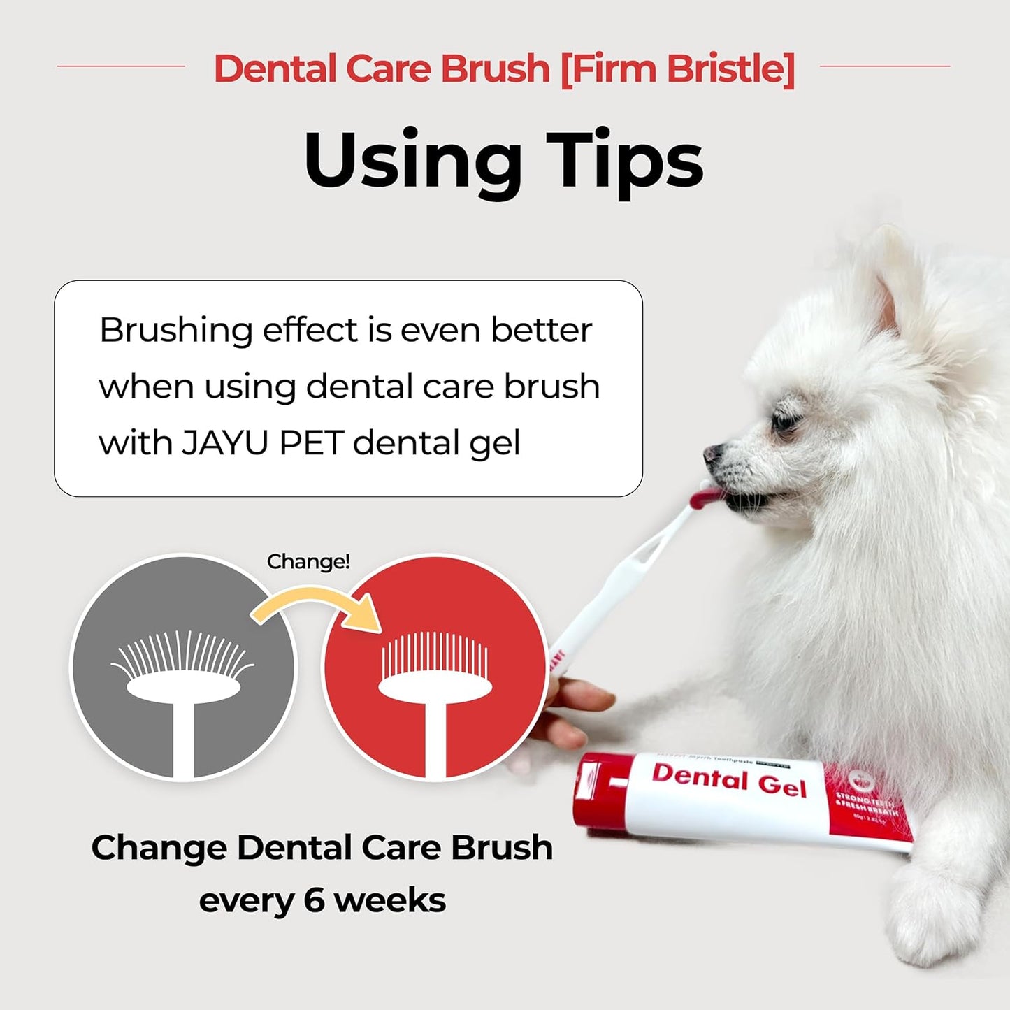 JAYU PET Dental Care Brush with Soft Bristles 1ea - Dog Toothbrush, Cat Toothbrush, Dental Care for Kitten and Small Dogs, Removing Old Plaque and Tartar, Easy Cleaning