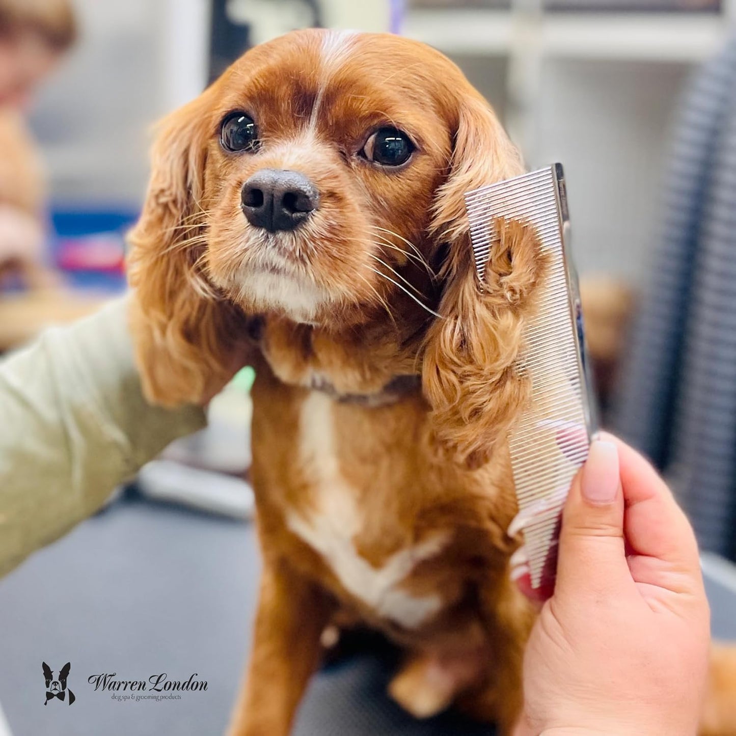 Warren London Detangling Strong Comb for Dogs | 10 inches | Comfort Control Durability and Detail for Small Medium Large Dogs | Ergonomic Dog Cat Grooming Pet Supplies Deshedding Mat Tool