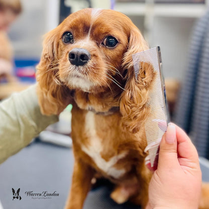 Warren London Detangling Strong Comb for Dogs | 10 inches | Comfort Control Durability and Detail for Small Medium Large Dogs | Ergonomic Dog Cat Grooming Pet Supplies Deshedding Mat Tool