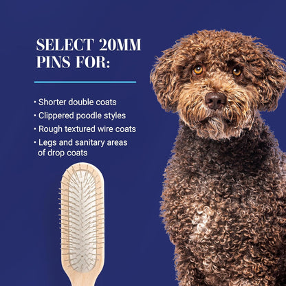 Chris Christensen 20 mm Oblong Pin Dog Brush, Original Series, Groom Like a Professional, Stainless Steel Pins, Lightweight Beech Wood Body, Ground and Polished Tips