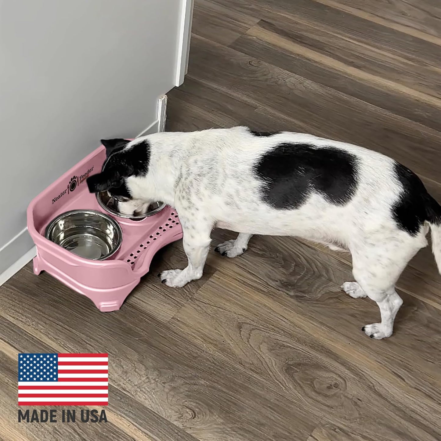 Neater Feeder Express Mess Proof Dog Bowls Elevated for Small Breeds under 15 Lb, Made in USA, No Spill Raised Dog Food Bowl Stand, Stainless Steel Food and Water Bowl Set, Feeding Station, Cappuccino