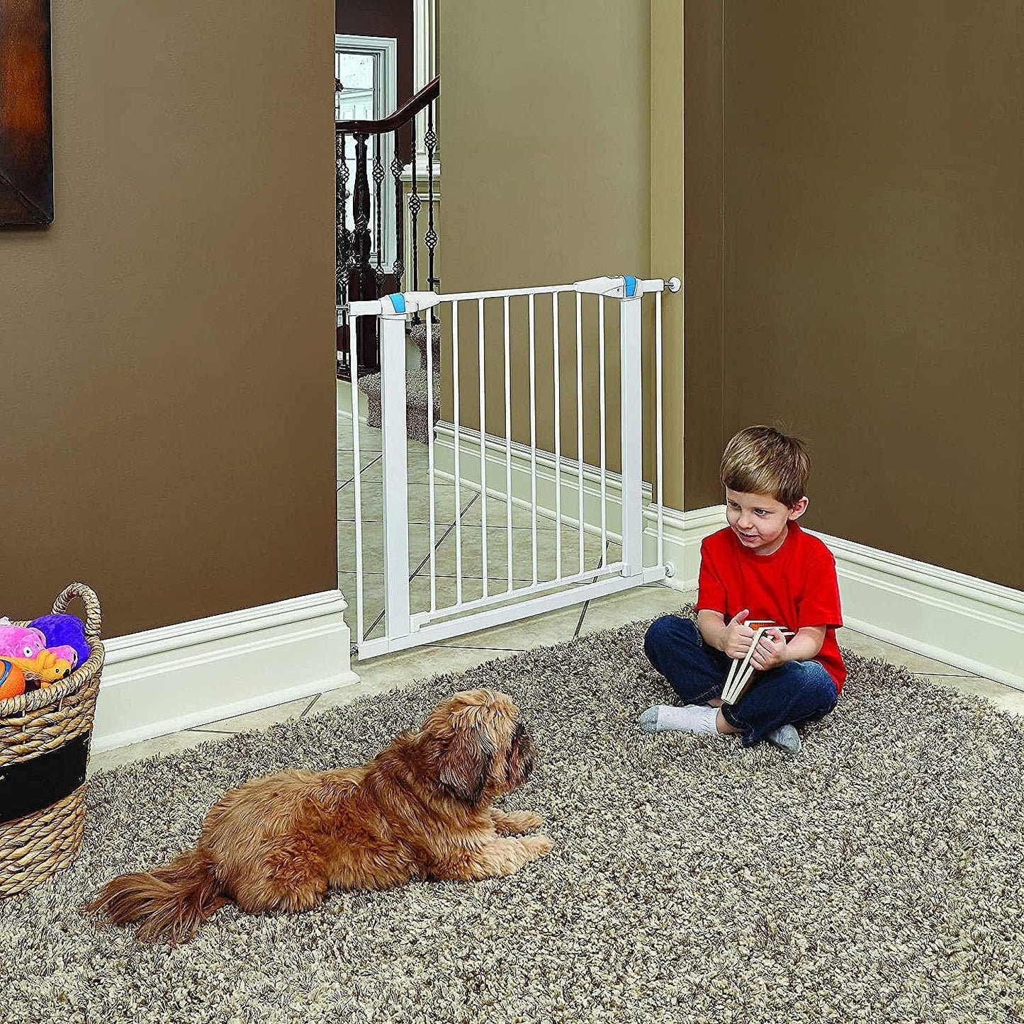 MidWest Homes for Pets 39 Inches Tall Walk-Though Steel Pet Gate, Pressure Mounted Dog Gatewith Glow Strip Measures 29-38 Inches Wide & Includes Two 3-Inch-Wide Extensions, Graphite