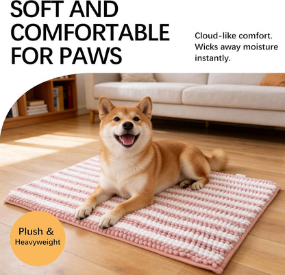 Dog Door Mat for Muddy Paws - Absorbent Quick-Dry Non-Slip Washable Chenille Pet Rug, Indoor Entryway Mat for Front Door & Crate (Brown, 24" L*16" W)