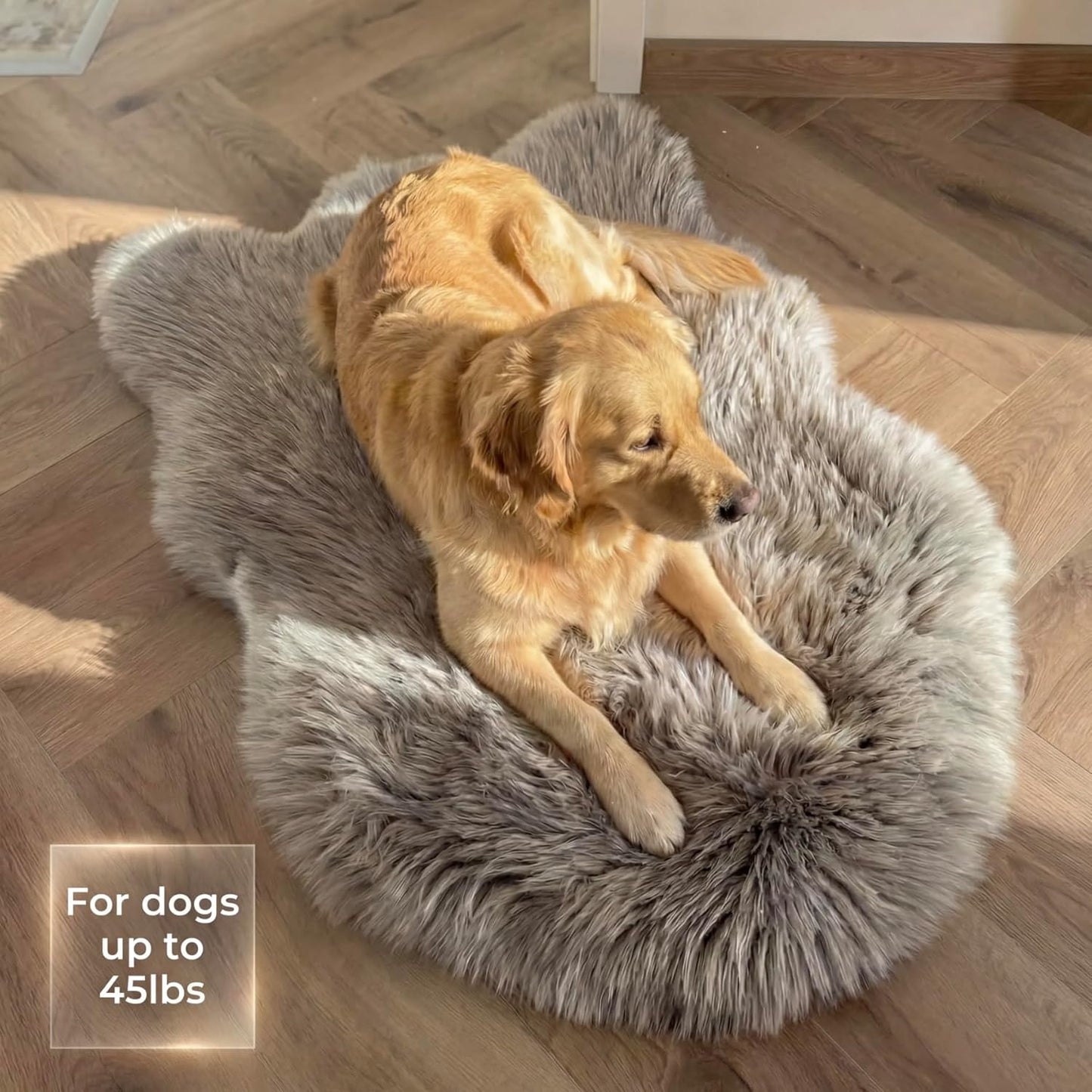 IHAPPYDOG Luxury Faux Fur Orthopedic Dog Bed, Memory Foam Dog Bed for Small, Medium, Large and XL Pets, Fluffy Pet Bed with Waterproof and Washable Cover (White w/Brown Tips, 50"x30")