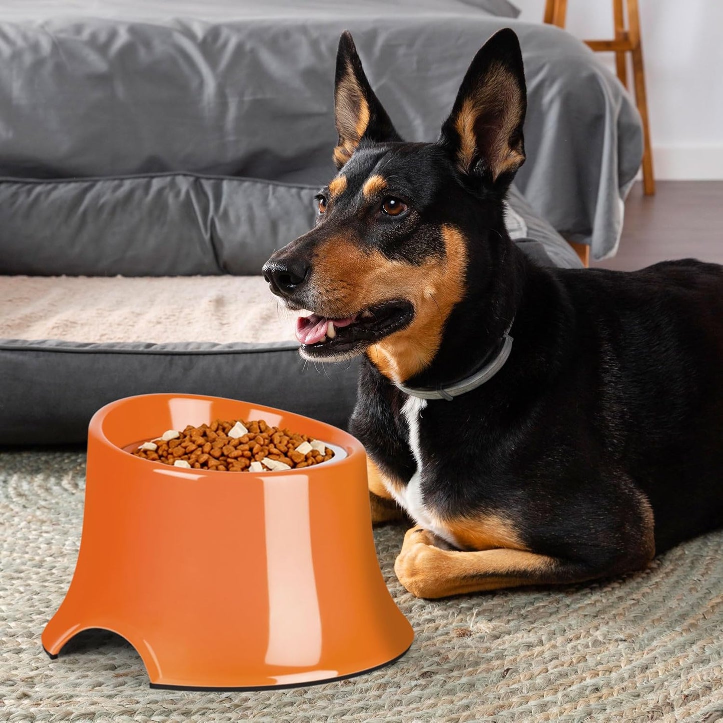 Tilted Elevated Dog Bowls Non-Slip & Non-Spill Pet Feeder with Elevated Detachable Melamine Stand, High Capacity Tilted Dog Bowl for Medium Small Size Dogs M/2 Cup Black