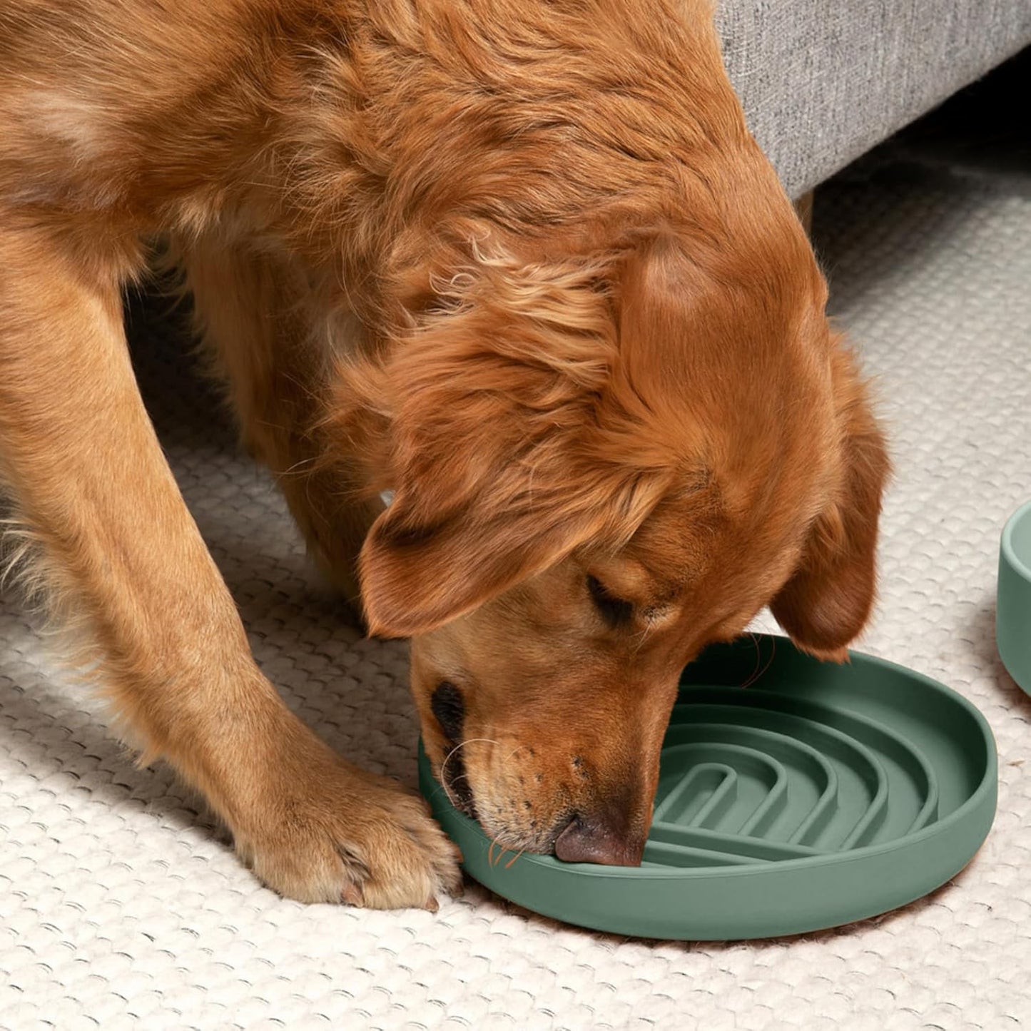 Should We Go? Slow Feeder for Dogs & Puppies, The Slowdown Bowl Silicone Slow Eating, Modern Lick Mat Design, Reduces Gulping, Fits 2 Cups, 7.5” Across x 1.5” Tall, Mealtime Challenge, Medium-Blush