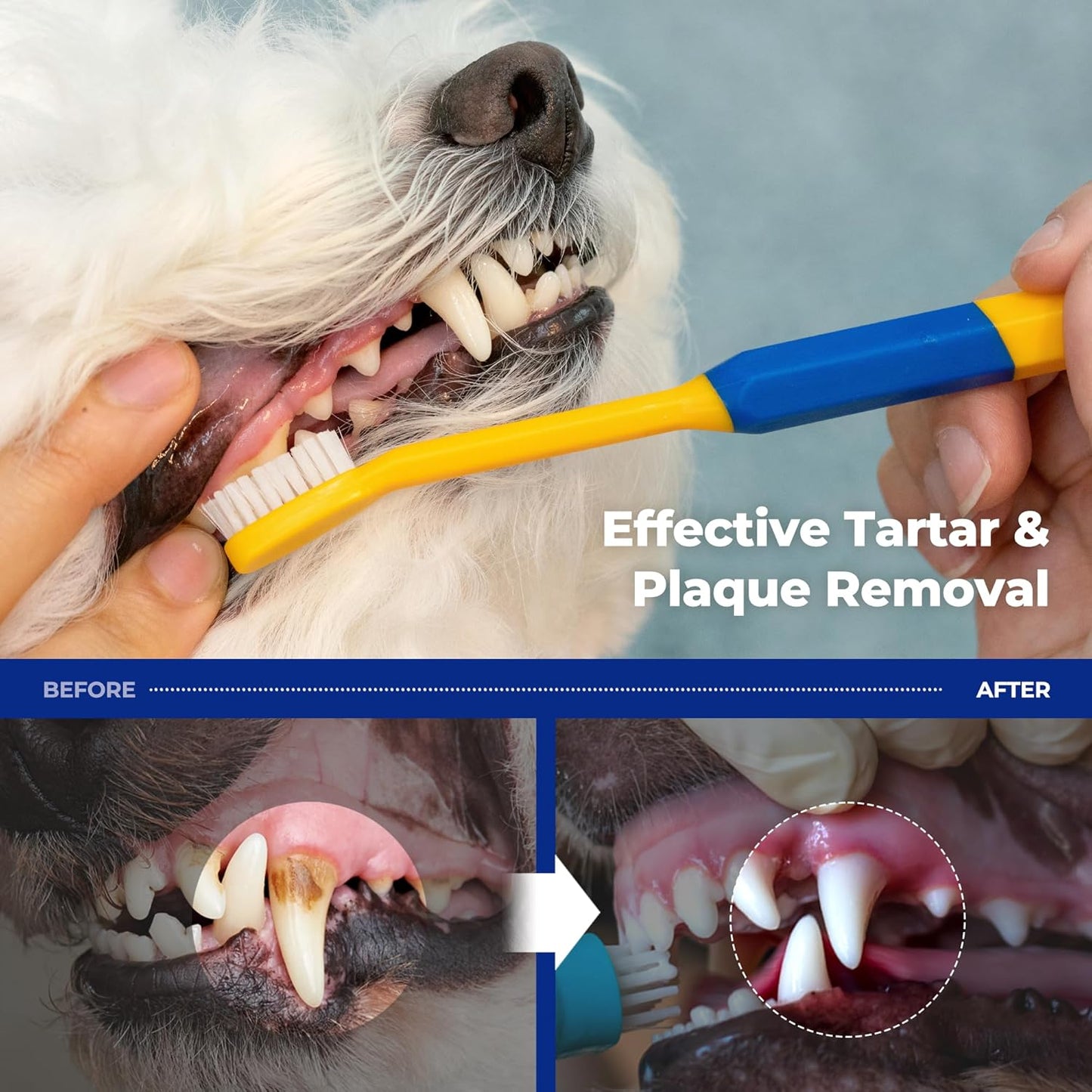 PETHROOM] Pet Toothbrush - Cats, Kitten, Small Dog Dental Care, Removing Teeth Tartar | Soft Bristle Cleaning Toothbrush Cat (Extra Small)
