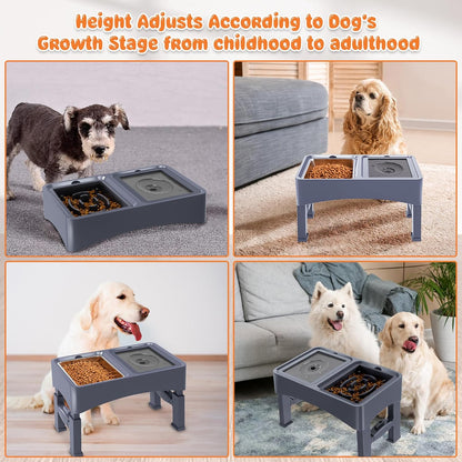Decflow 3-in-1 Elevated Dog Bowls, 4 Height Adjustable Raised with Stainless Steel, Slow Feeder, No Spill Water Bowl, DIY Stickers Foldable Pet Bowl for Medium Large Dogs