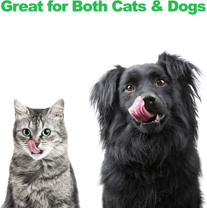 Set of 2 Stainless Steel Dog Bowls - 40oz Pet Bowls with Decorative Dog Food Stand - Metal Food and Water Dishes for Large Pets - Puppy Essentials by PETMAKER (Silver/Black)