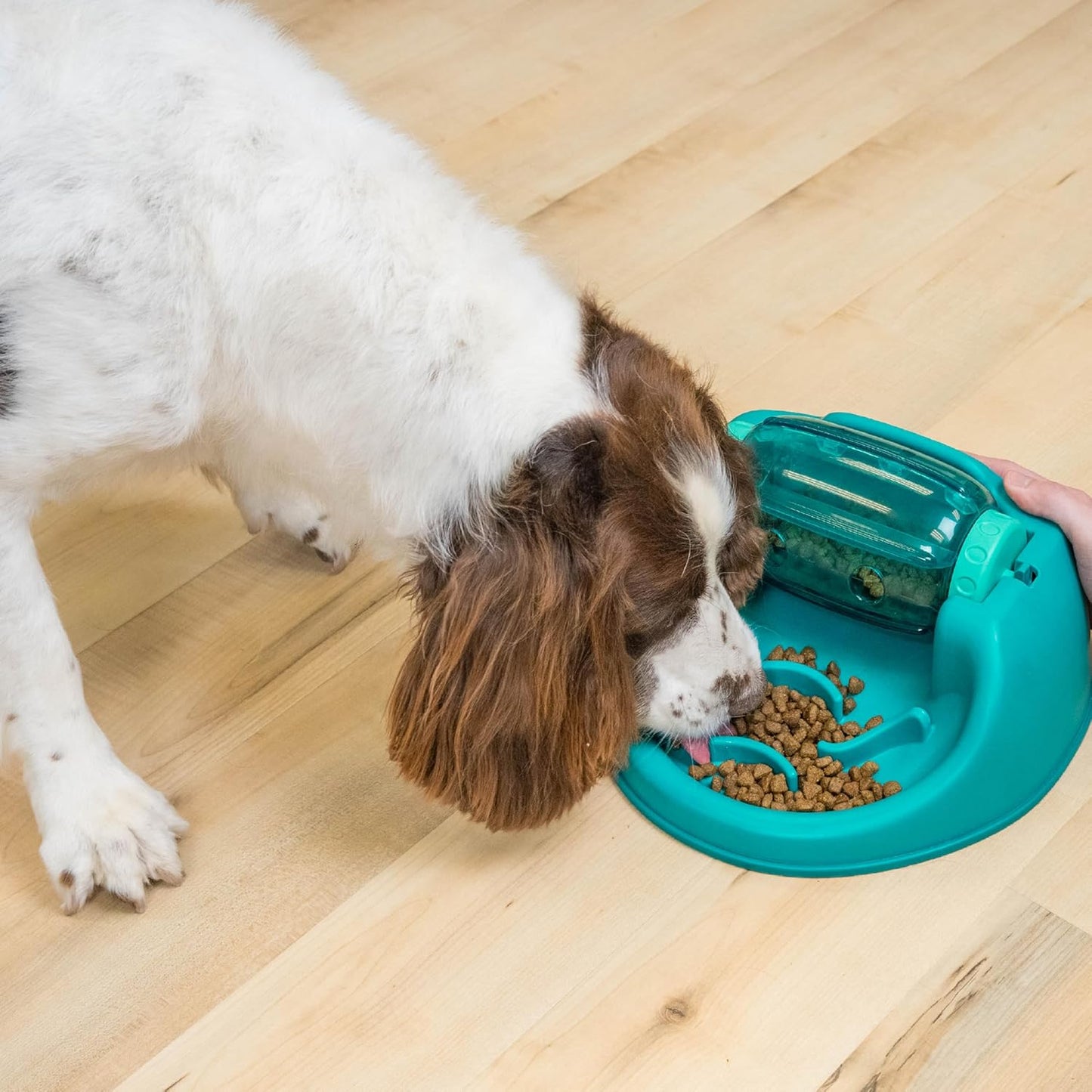 Outward Hound by Nina Ottosson Lick N’ Flip Level 1 Dog Puzzle Toy, Lick Mat & Slow Feeder – Non-Slip Base Beginner Enrichment for Small & Medium Dogs, Holds 1 Cup Wet or Dry Food, 7.4" x 7.4"