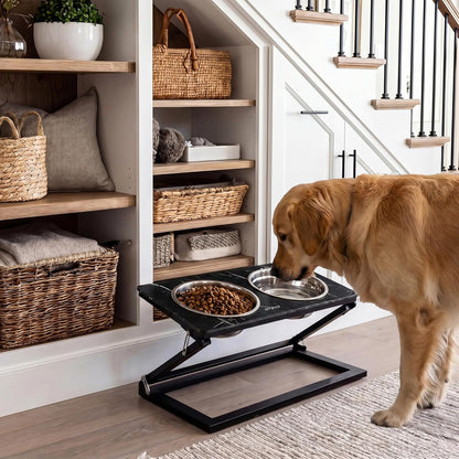 Elevated Dog Bowls, Adjustable Raised Dog Bowl Stand with 2 Stainless Steel Food Bowls 20°Tilted Water Bowls for Medium Small Sized Dogs (Black, Medium)