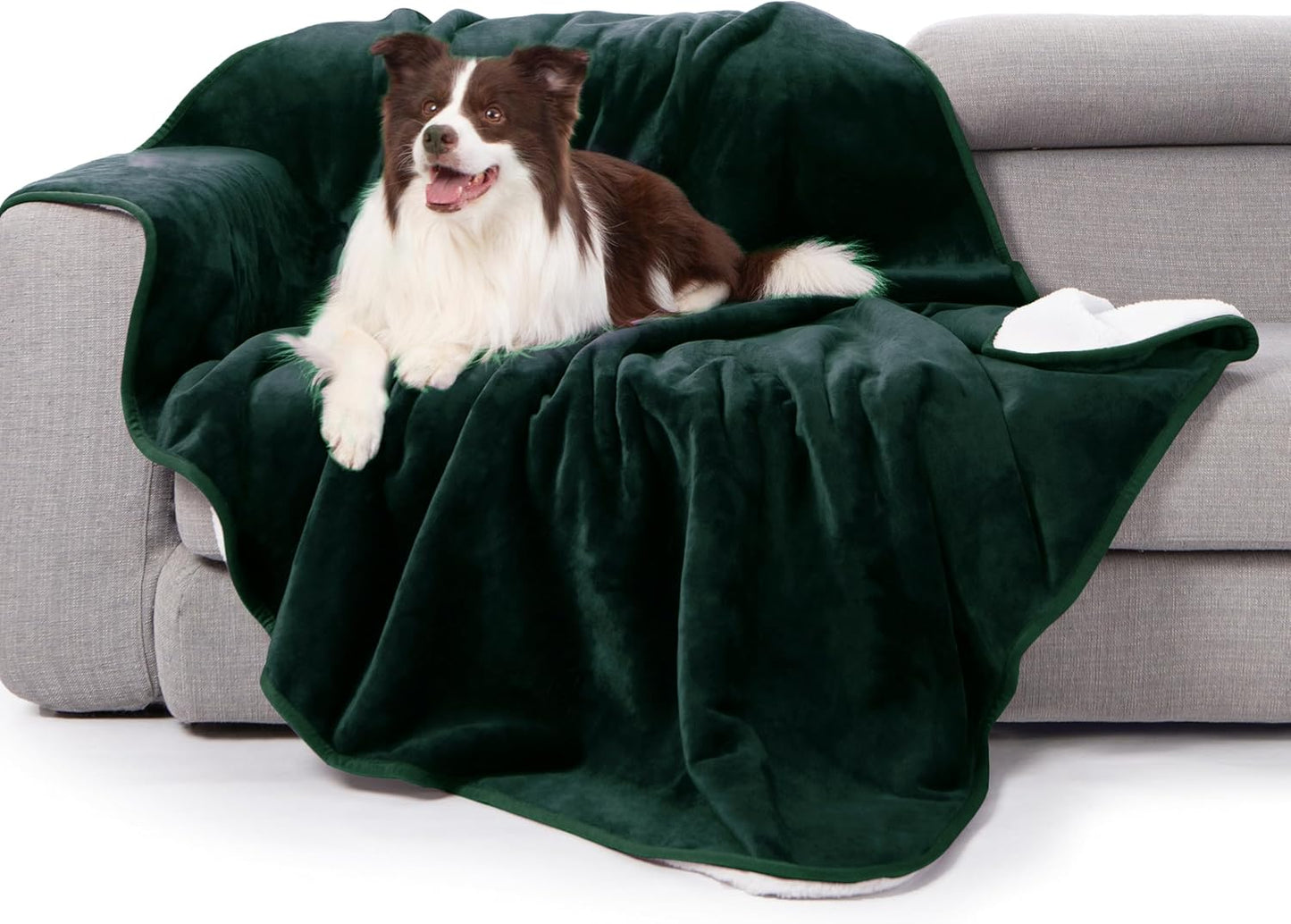 gogobunny Waterproof Blanket for Bed Couch Sofa, Liquid Pee and Fur Proof Pet Blanket for Dog Puppy Cat, Reversible Sherpa Fleece Throw Blanket Furniture Cover Protector (Grey, 50x60 inches)