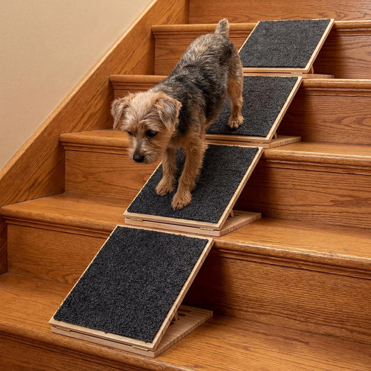 Cinnvoice 2 Packs Dog Ramp for Stairs Adjustable 5.5 to 7.48 Inch Height Foldable Wooden Pet Ramp with Non-Slip Carpet Surface for Indoor Small Dogs Cats Senior Pets (11.81 Inches/ 30 cm)