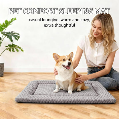Dog Bed Mat, Reversible Crate Pad & Cute Dog Bed - Machine Washable Kennel Mat with Ultra Soft for Small Dogs (Cool/Warm), 24" x 18", Grey&Star