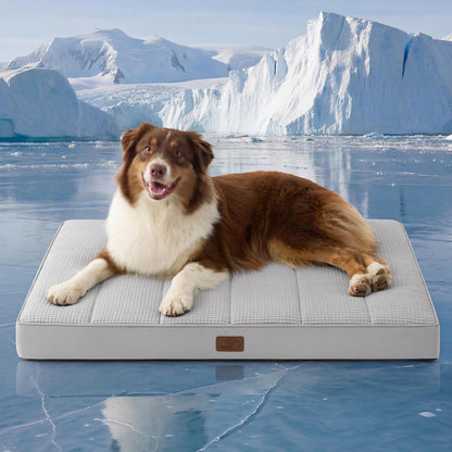 Bedsure Dog Beds Large Sized Dog - Comfy Flat Pet Beds with Removable Washable Cover, Orthopedic Egg Crate Foam Puppy Mat, Suitable for Pet Up to 65 lbs