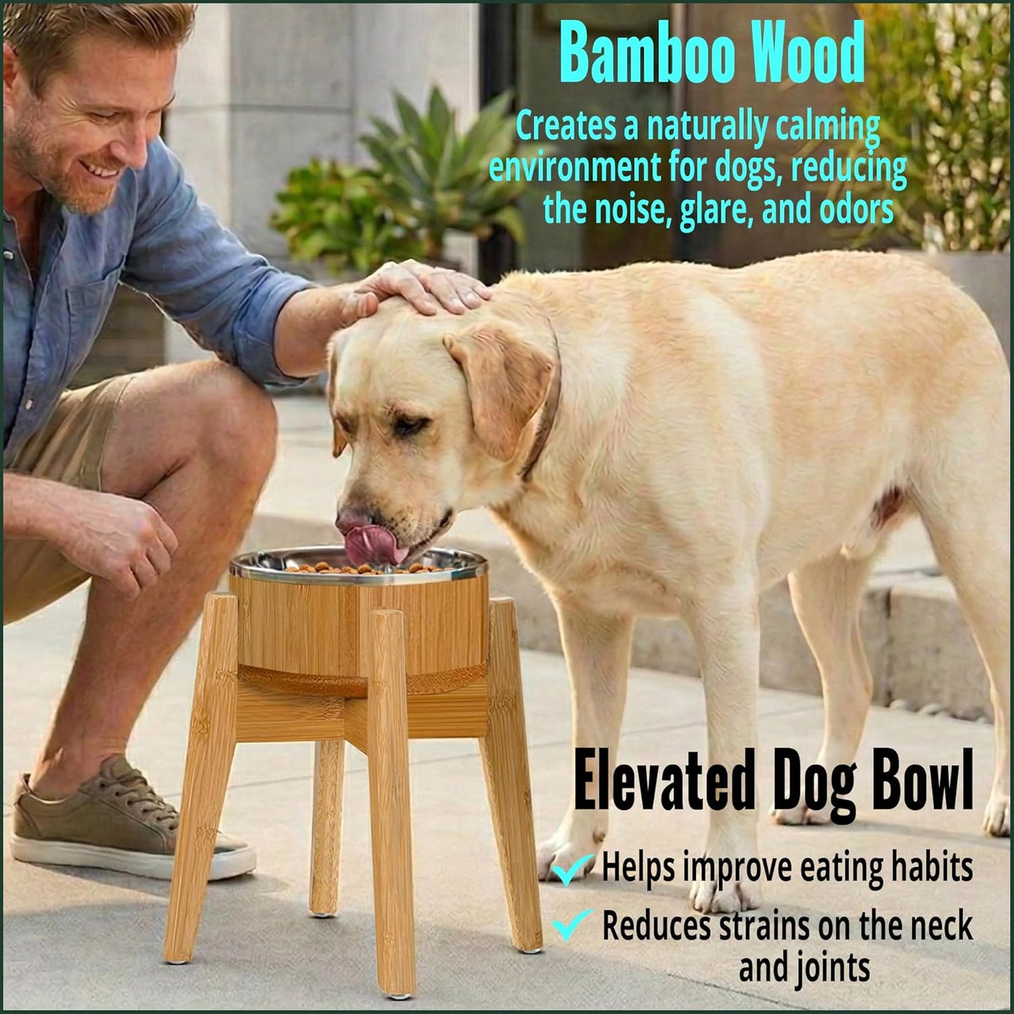 Elevated Slow Feeder Dog Bowls Large Breed - (12-inch-high) - Raised Bowl with Anti-Choking Insert - Stainless Metal and Bamboo