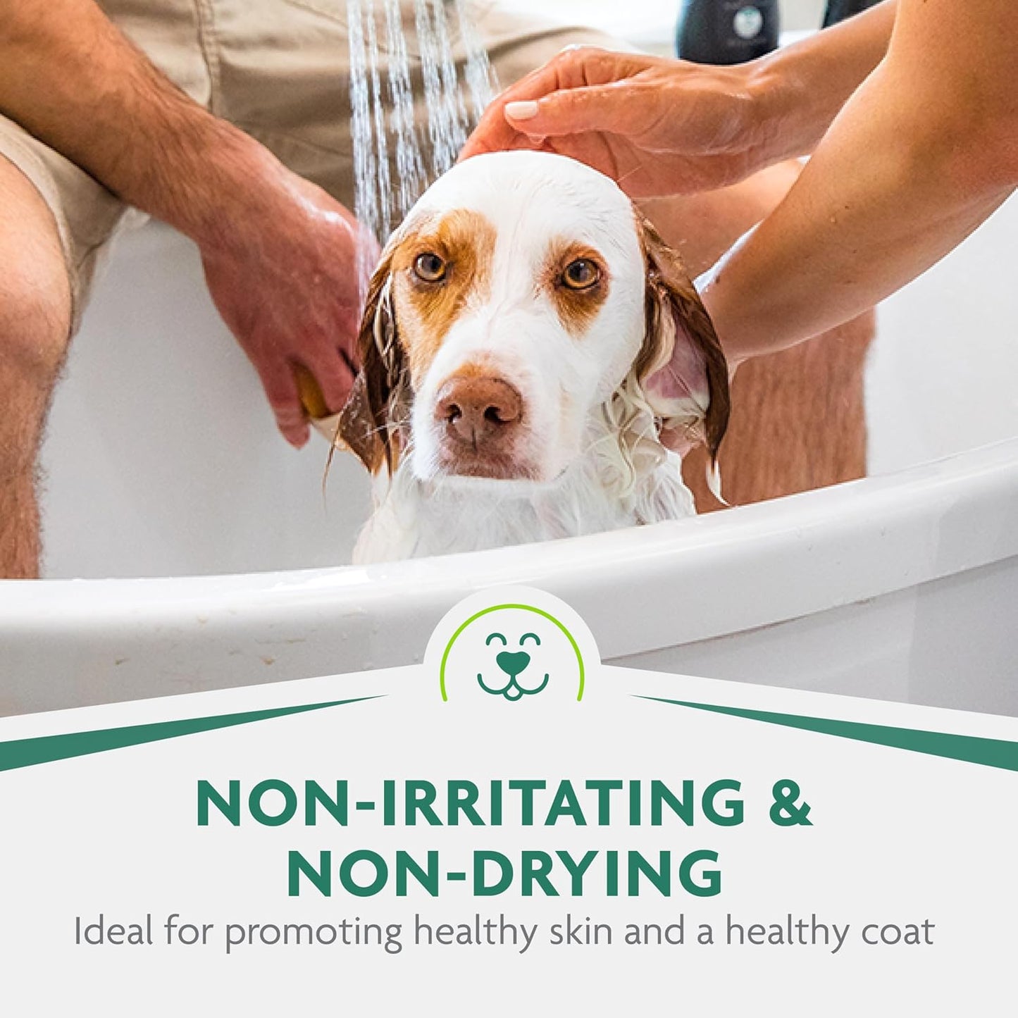 FURminator Ultra Premium deShedding Shampoo for Dogs Helps Reduce Excess Shedding, 16 oz