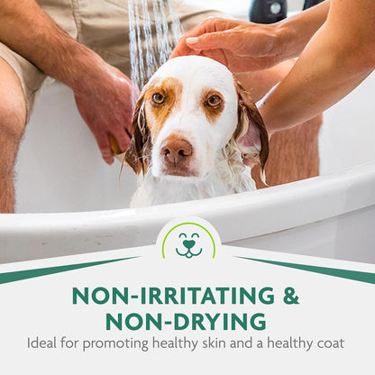 FURminator Ultra Premium deShedding Shampoo for Dogs Helps Reduce Excess Shedding, 16 oz