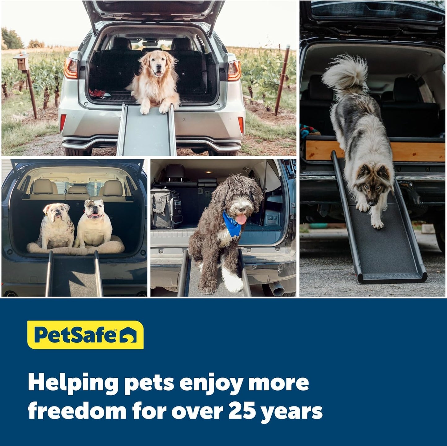 PetSafe Happy Ride Side Door Dog Stairs for Cars & SUVs, Foldable Back Seat Dog Steps with 3 Heights