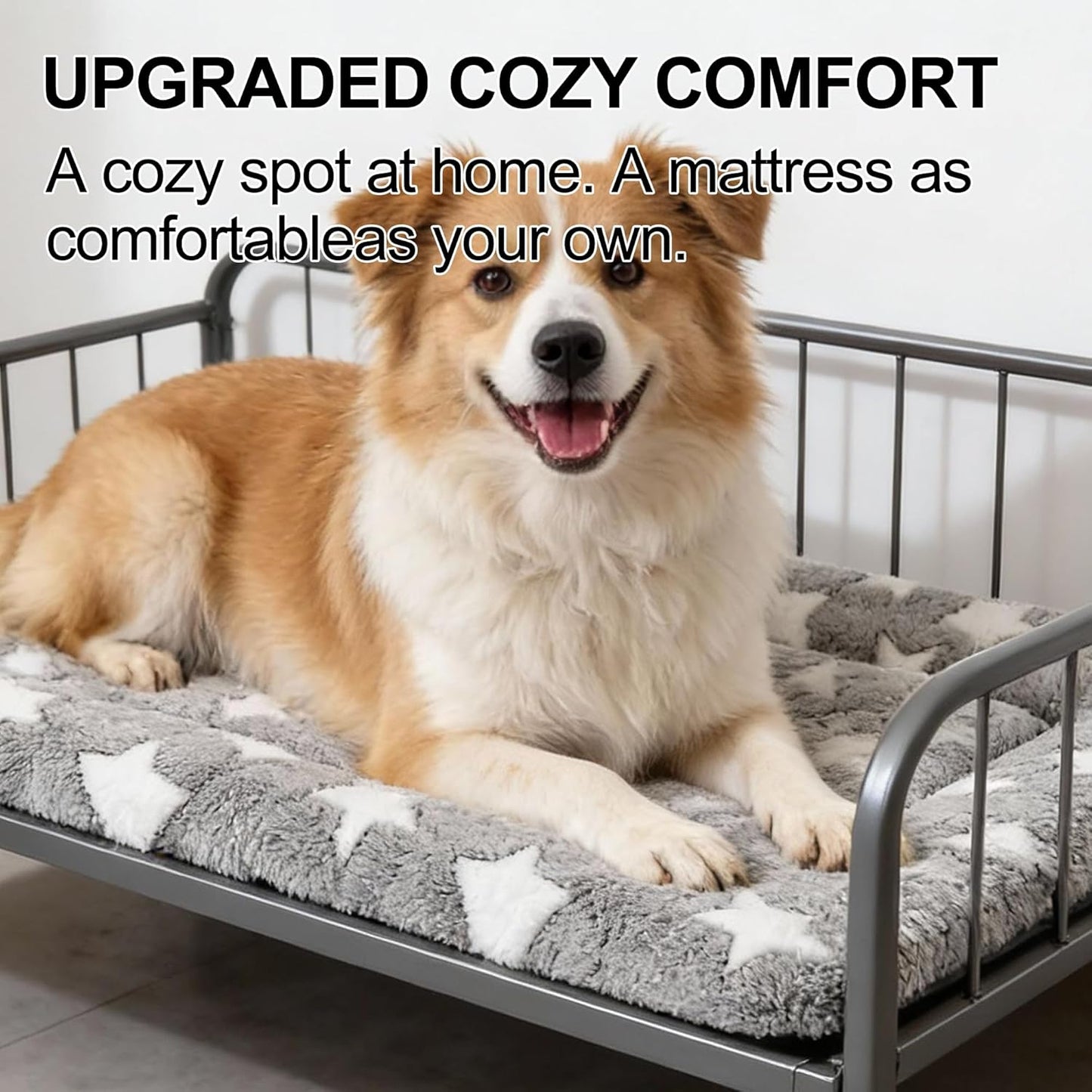 Dog Bed Mat, Reversible Crate Pad & Cute Dog Bed - Machine Washable Kennel Mat with Ultra Soft for Small Dogs (Cool/Warm), 24" x 18", Grey&Star