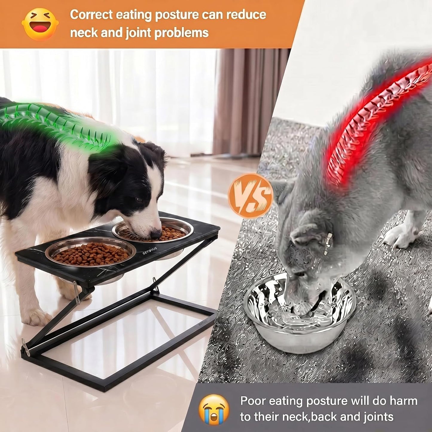 Elevated Dog Bowls, Adjustable Raised Dog Bowl Stand with 2 Stainless Steel Food Bowls 20°Tilted Water Bowls for Medium Small Sized Dogs (Black, Medium)