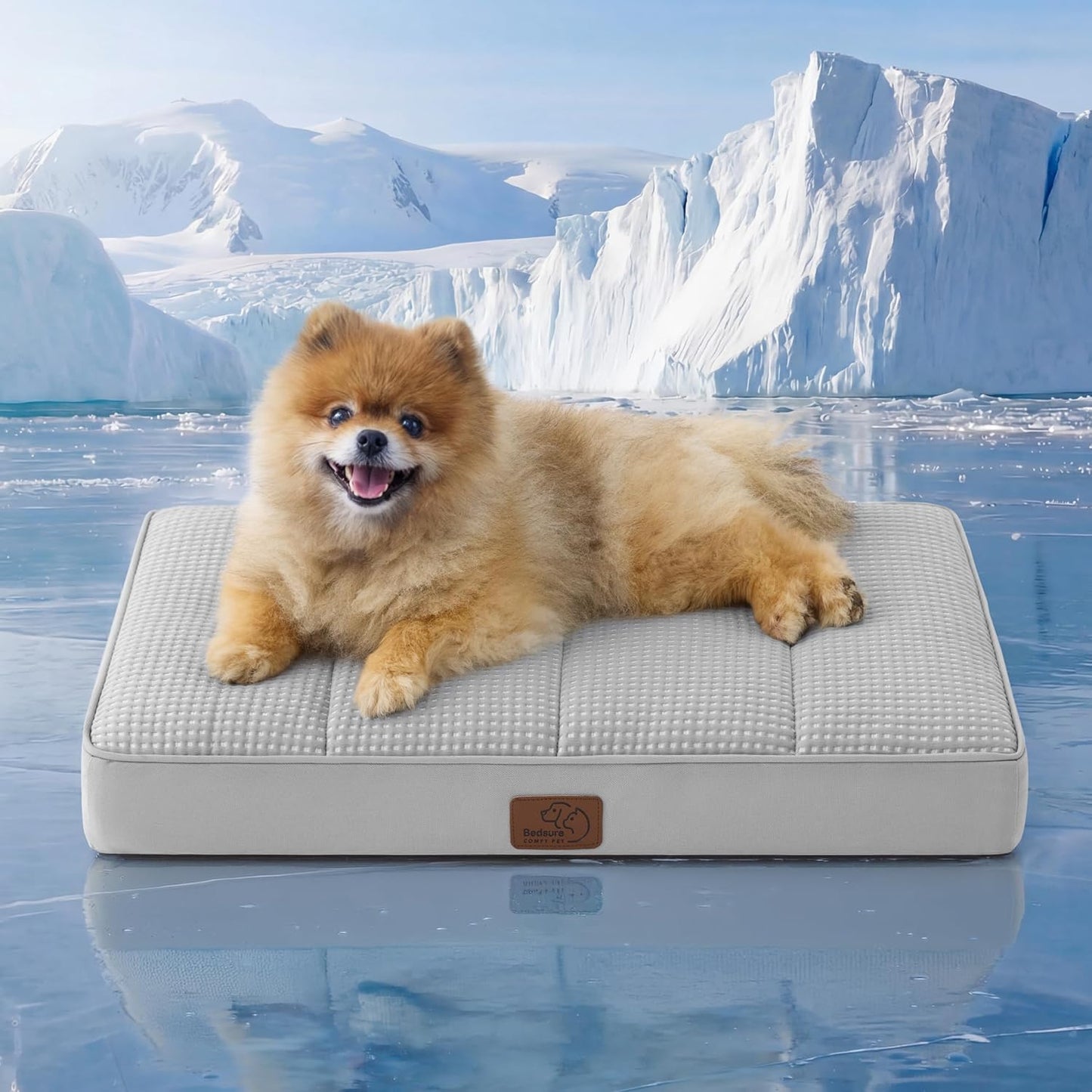Bedsure Dog Beds Large Sized Dog - Comfy Flat Pet Beds with Removable Washable Cover, Orthopedic Egg Crate Foam Puppy Mat, Suitable for Pet Up to 65 lbs