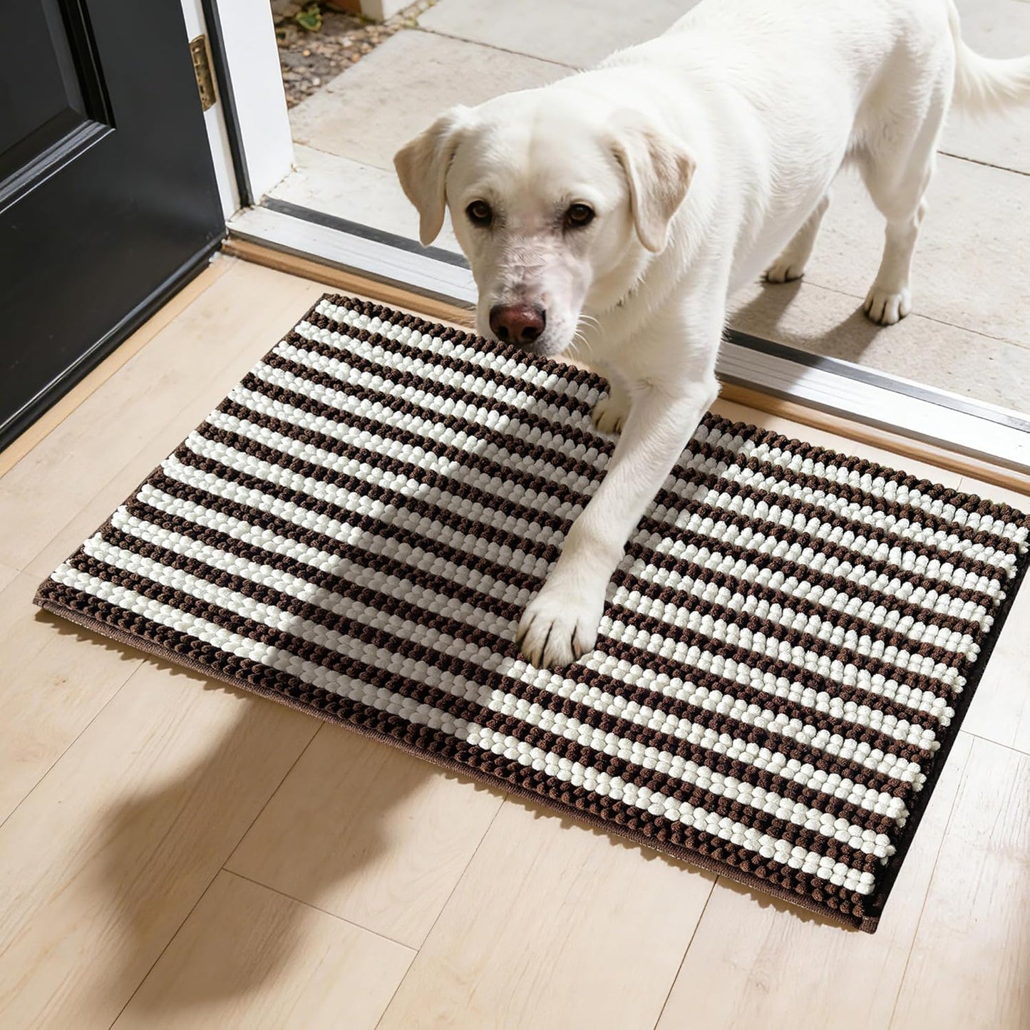 Dog Door Mat for Muddy Paws - Absorbent Quick-Dry Non-Slip Washable Chenille Pet Rug, Indoor Entryway Mat for Front Door & Crate (Brown, 24" L*16" W)