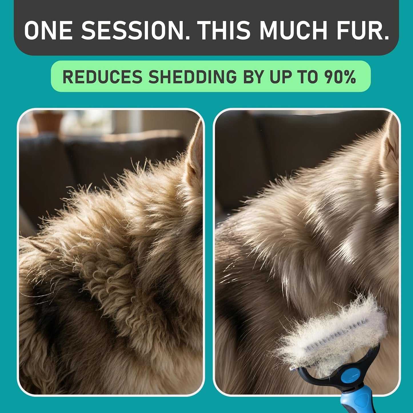 Maxpower Planet Dog Rake and Dog Hair Brush - Gently Removes Loose Undercoat, Mats and Tangled - Deshedding Grooming Tool for Dogs & Cats - Self Cleaning Slicker Brush - All Hair Types