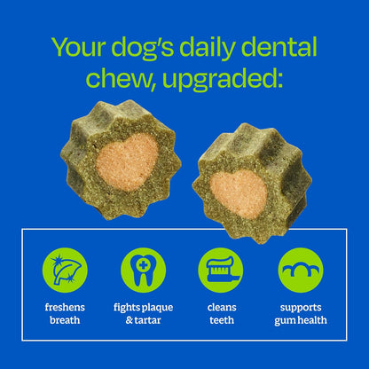 Ark Naturals Soft Brushless Toothpaste, Dog Dental Chews for Small Breeds, Freshens Breath, Unique Texture Helps Reduce Plaque & Tartar, 12oz, 1 Pack