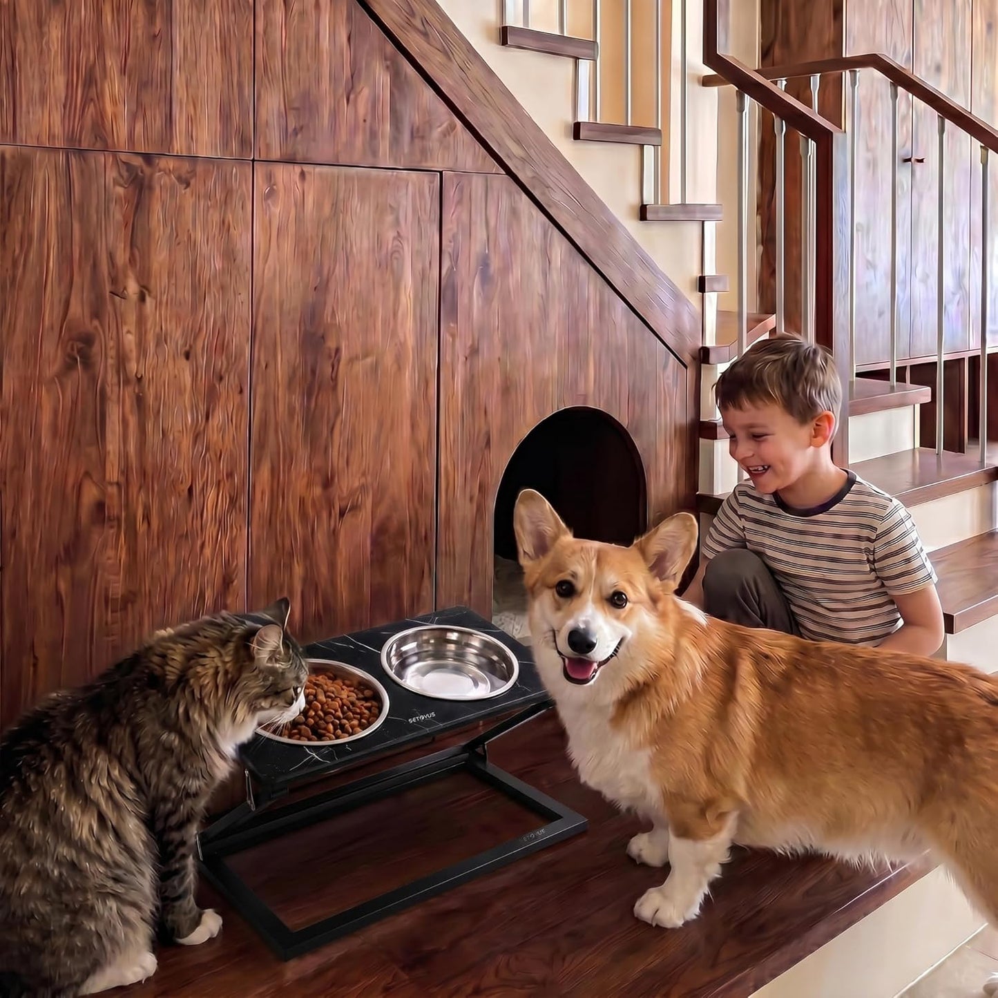 Elevated Dog Bowls, Adjustable Raised Dog Bowl Stand with 2 Stainless Steel Food Bowls 20°Tilted Water Bowls for Medium Small Sized Dogs (Black, Medium)