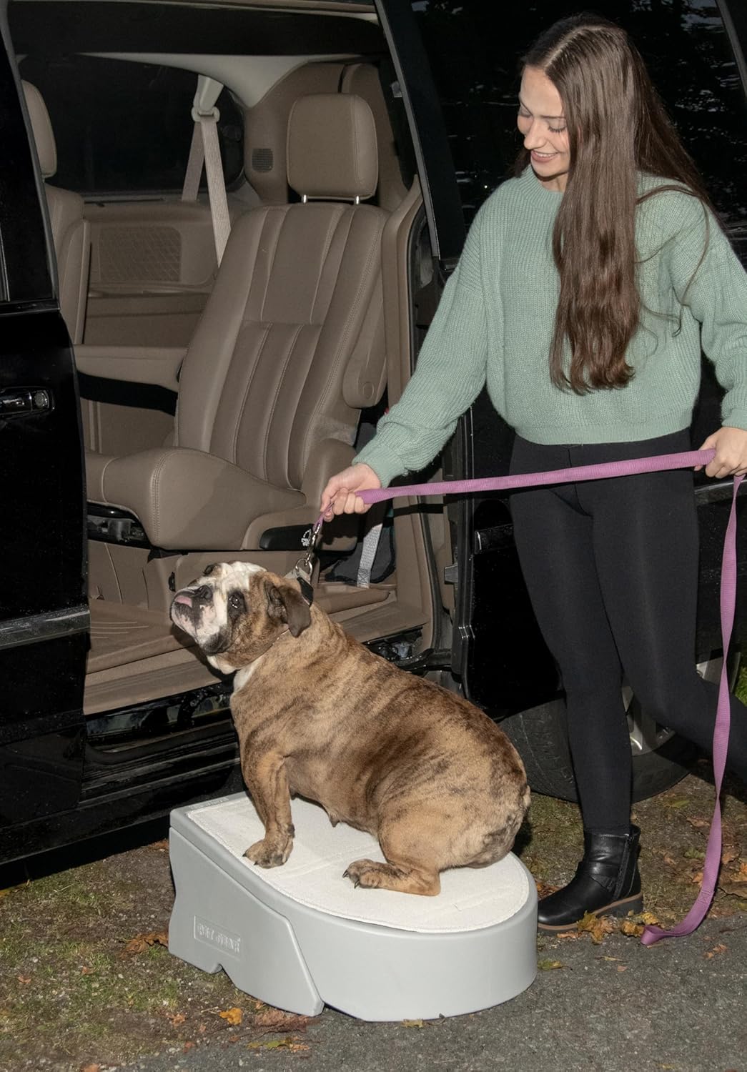 Pet Gear Stramp Stair and Ramp Combination for Dogs/Cats, Easy Step, Lightweight/Portable, Sturdy, Easy Assembly (No Tools Required) 1 Model, Coffee Bean