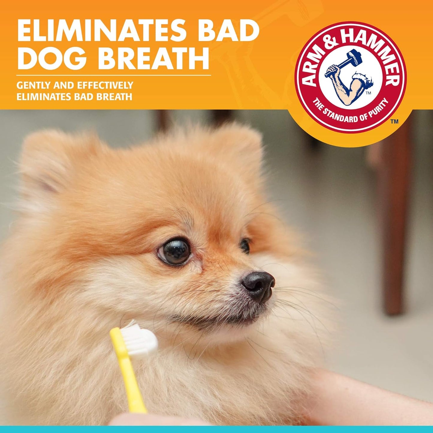 Arm & Hammer for Pets Fresh Breath Enzymatic Dog Toothpaste, Vanilla Ginger Flavor, Safe for Puppies and Adult Dogs, Daily Baking Soda Dental Gel to Eliminate Bad Breath, 2.5 Oz