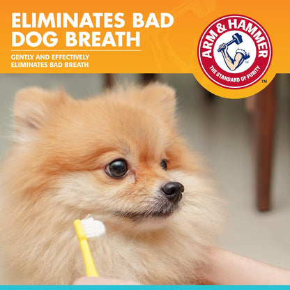Arm & Hammer for Pets Fresh Breath Enzymatic Dog Toothpaste, Vanilla Ginger Flavor, Safe for Puppies and Adult Dogs, Daily Baking Soda Dental Gel to Eliminate Bad Breath, 2.5 Oz